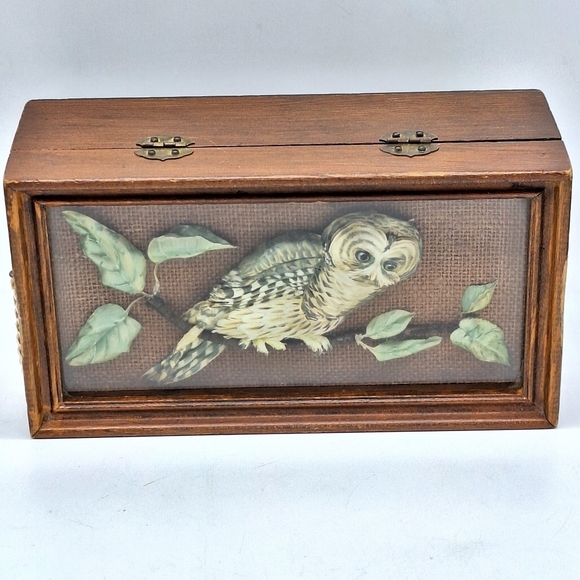 Vintage‎ Wood Box with Realistic Owl Behind Glass - Picture 7 of 7